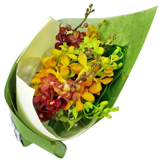 Autumn's Rainbow Orchid Bunch - Standard