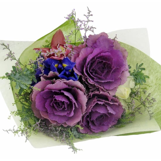 Whispers Of Winter - Standard