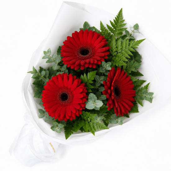 Gerbera Gems Posy - Standard