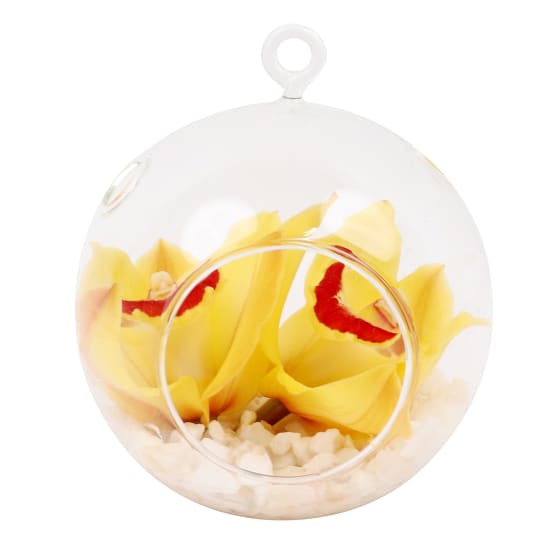 Yellow Orchid Orb - Deluxe