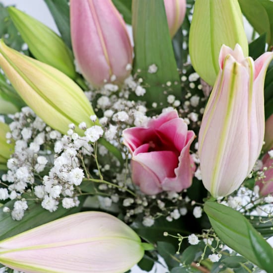 Pink Love And Comfort Vase - Standard