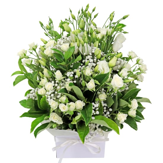 White Serenity - Standard