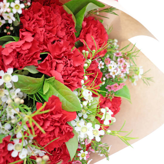 Romantic Carnation Bouquet - Standard