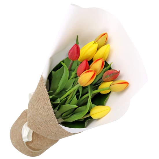 Mixed Bright Tulips Bunch - Standard