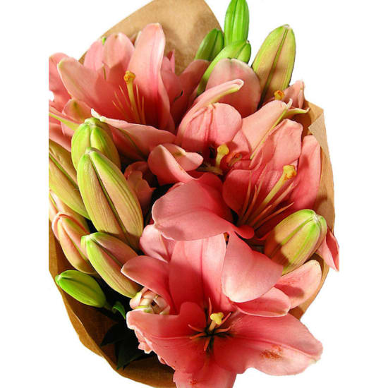 Lily Bunch - Deluxe