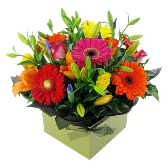 Vivacious Mixed Brights Flower Box - Deluxe
