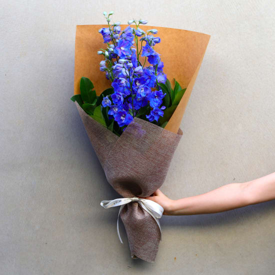Blue Delphinium Flower Bunch - Standard