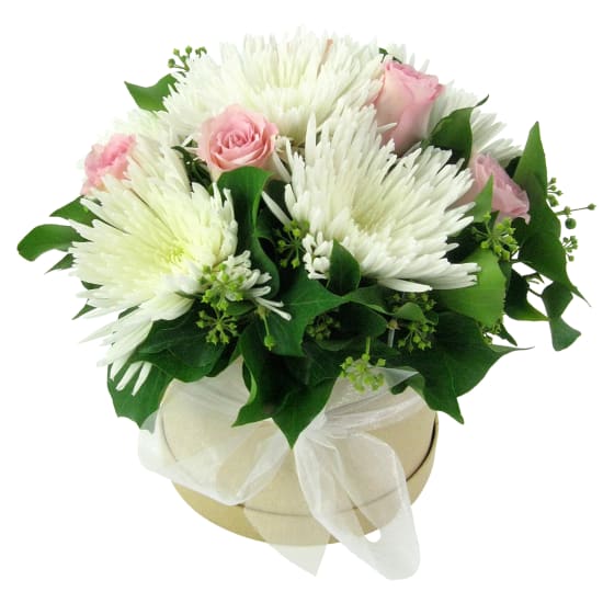 Isn't She Lovely - Standard