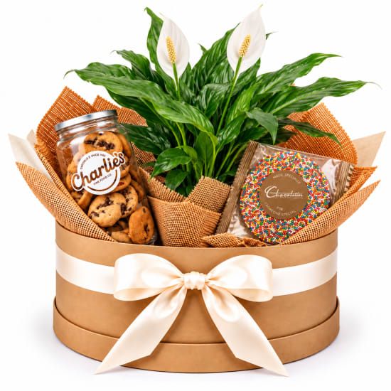 🌿🍪 Peace Lily & Sweet Treats Plant Hamper 🍪🌿 - Standard