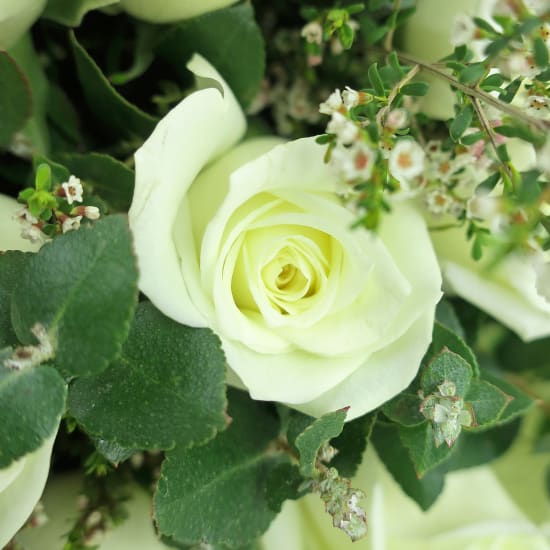 Enchanted Evening Rose Bouquet - Premium