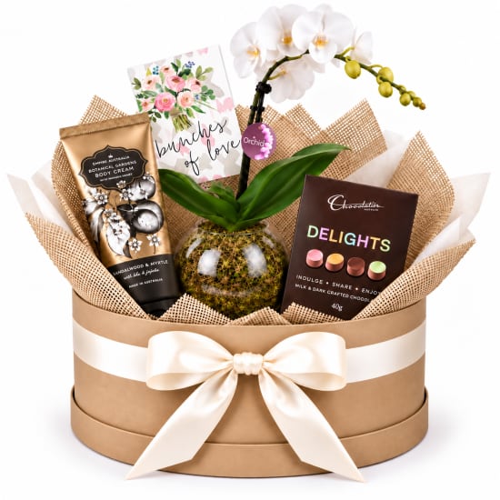 💐🌸 Bunches Of Love & Little Luxuries Plant Hamper 🌸💐 - Standard