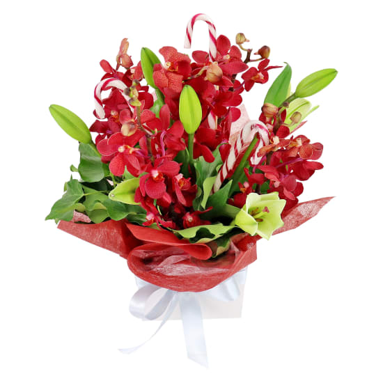 Making Xmas Magic Red & White - Standard