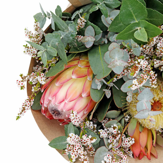 Market Bunch   Natives - Standard