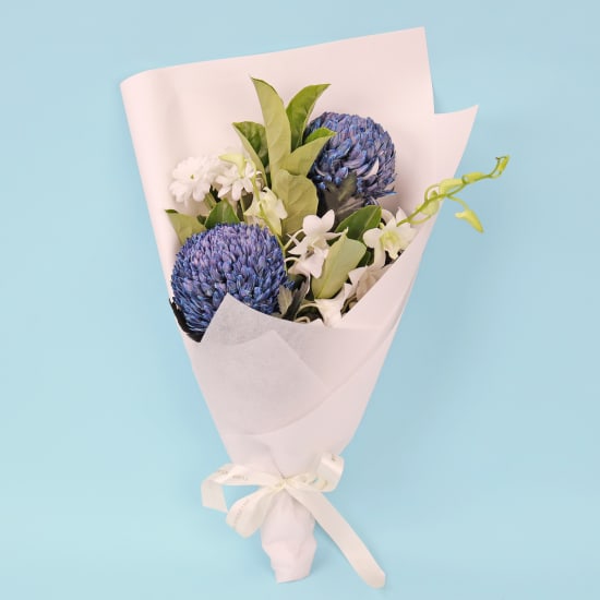 Blue Angel - Standard