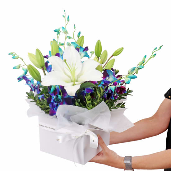 Blue Making Magic Posy Box - Premium