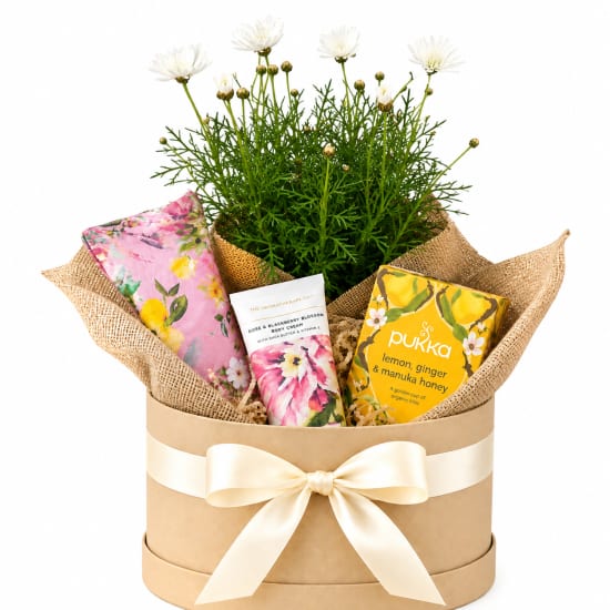 🌼💛 Little Ray Of Sunshine Hamper 💛🌼 - Standard