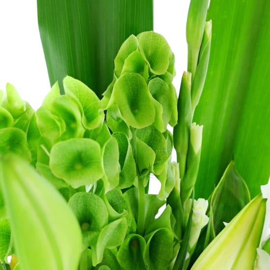 Efflorescence Ceramic Vase Arrangement - Standard