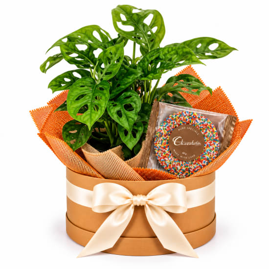 🌿🍫 Monkey Mask & Sweet Moments 🍫🌿 - Standard