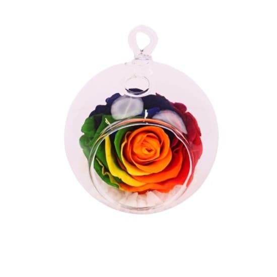 Preserved Rainbow Rose Orb - Standard
