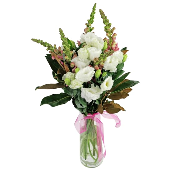 Cat's Meow - Standard