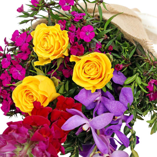 Sweet Sangria - Standard