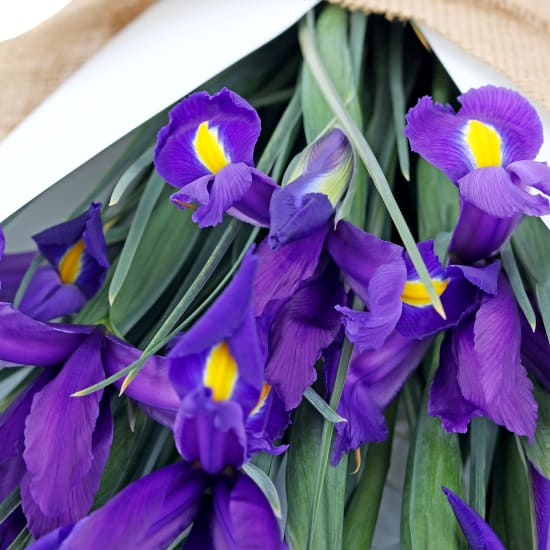 Blue Iris Flower Bouquet - Deluxe (view 3 of 7)