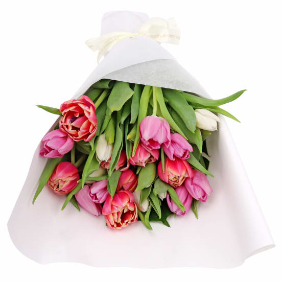 Mixed Pastels Tulip Bunch - Deluxe