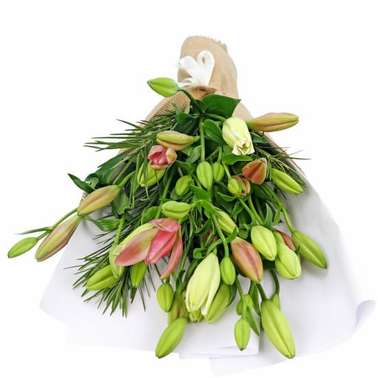 Mixed Pastel Lily Bunch - Deluxe