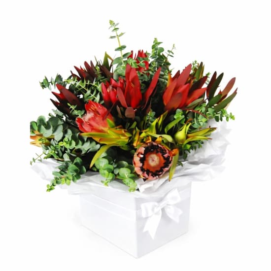 Vibrant Natives Posy Box - Premium