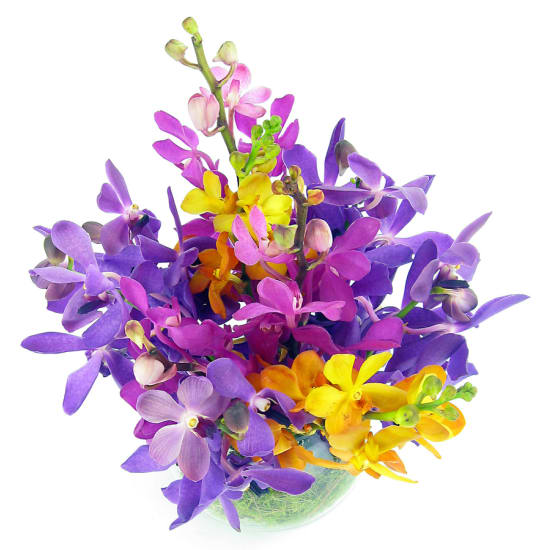 Orchid Fish Bowl Flower Arrangement - Standard