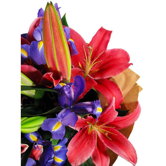 Pinks And Blues Lilies And Iris Bouquet  - Standard