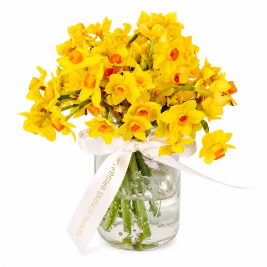 Jumping Jonquils - Standard