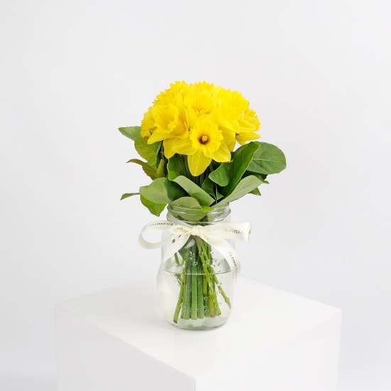 Daffodils In A Vase - Standard