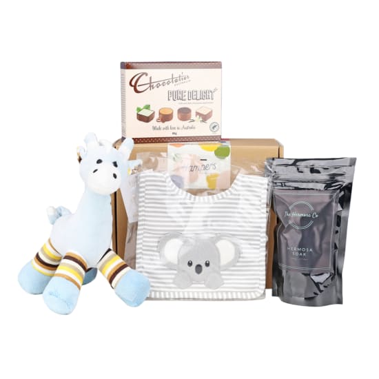 Baby Bliss Duo Baby Boy Hamper - Standard