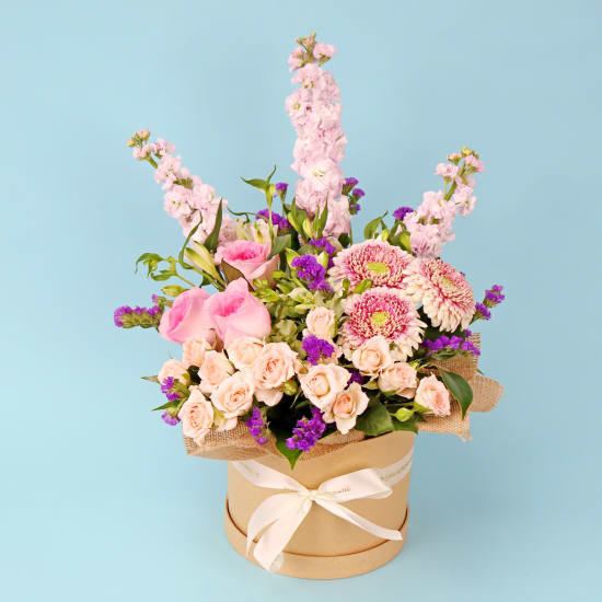 Pet Safe Petals Hat Box - Standard