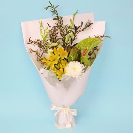 Moonlit Meadow - Standard