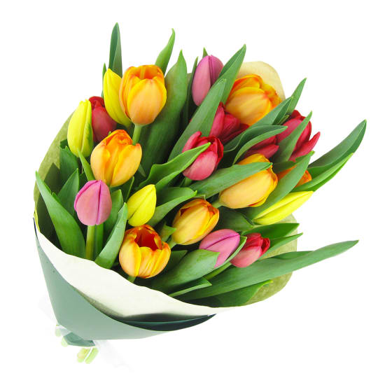 Mixed Bright Tulips Bunch - Deluxe (view 4 of 4)
