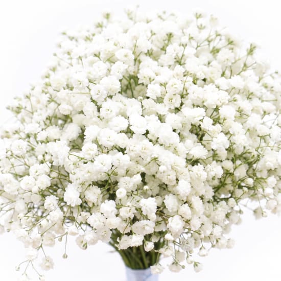 Gypsophila Bridesmaid Bouquet - Standard (view 4 of 4)