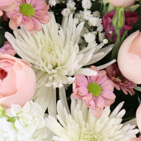 Pastel Parfait - Deluxe