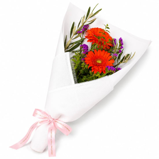 Little Sunshine Orange Blooms - Standard
