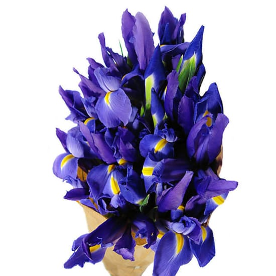 Blue Iris Flower Bouquet - Premium (view 5 of 6)