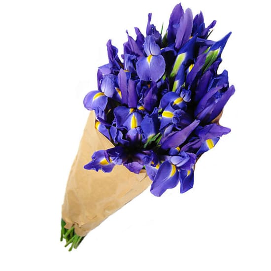 Blue Iris Flower Bouquet - Premium (view 6 of 6)