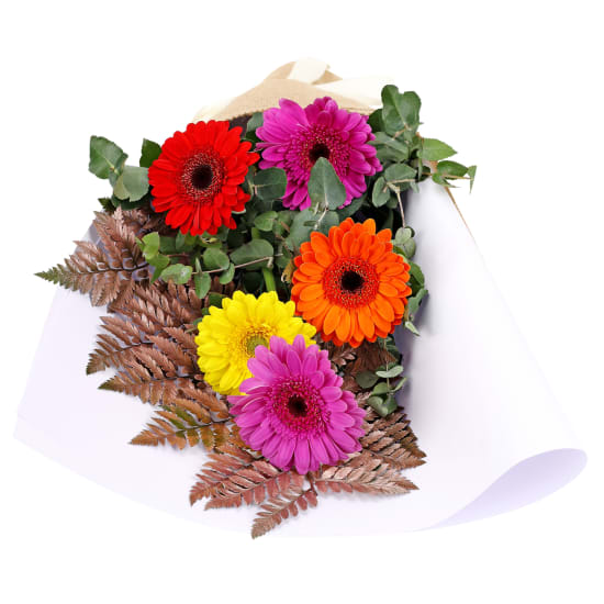 Mini Gerbera Gems Posy - Deluxe