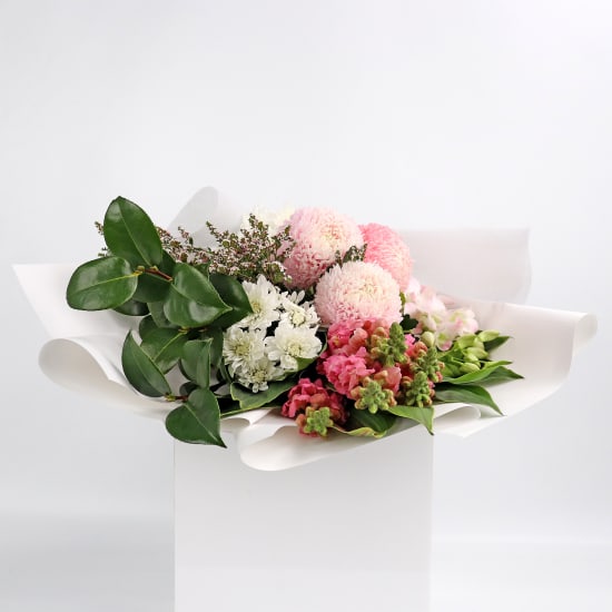 Pink Harmony - Standard