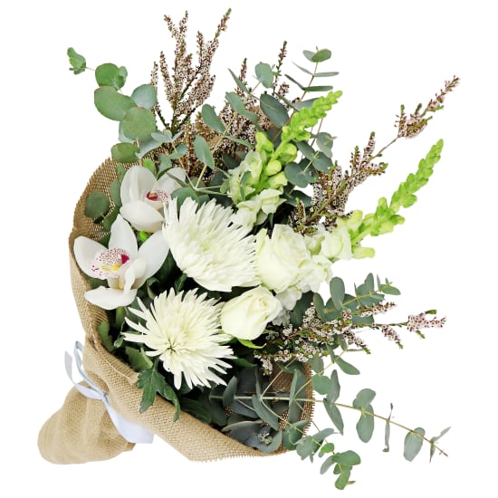 Moonlit Garden - Deluxe