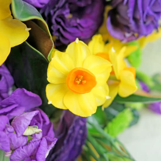 Complementary Colours Posy - Standard