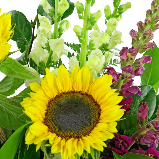 Gardenside Flower Box - Standard