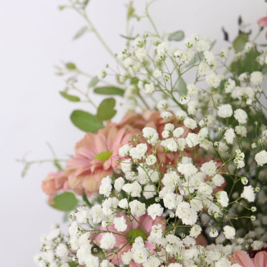 Pastel Parfait - Deluxe