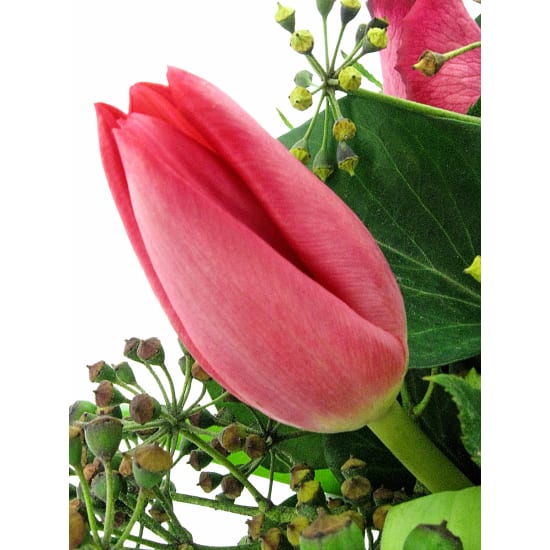 Spring Mix In A Vase - Standard