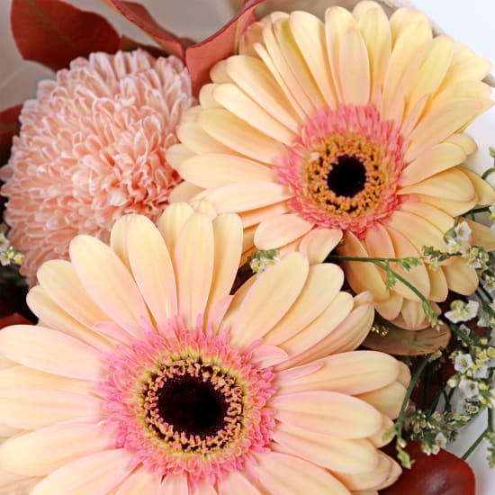 Prettiest Peach Posy - Standard